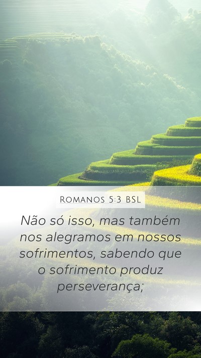Romanos 5:3 BSL Bible Verse Image