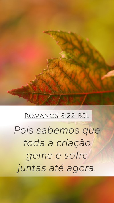 Romanos 8:22 BSL Bible Verse Image