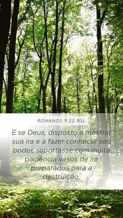 Romanos 9:22 BSL Bible Verse Image