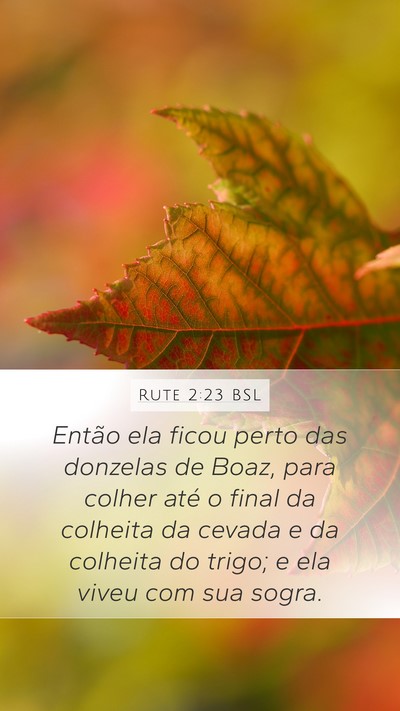 Rute 2:23 BSL Bible Verse Image