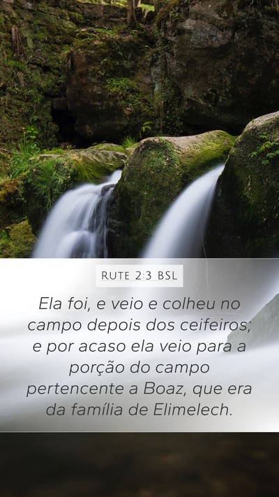 Rute 2:3 BSL Bible Verse Image