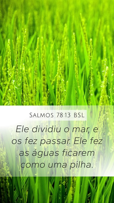 Salmos 78:13 BSL Bible Verse Image