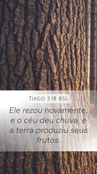 Tiago 5:18 BSL Mobile Phone Wallpaper - Ele rezou novamente, e o céu deu chuva, e a - Mobile Bible Verse Wallpaper