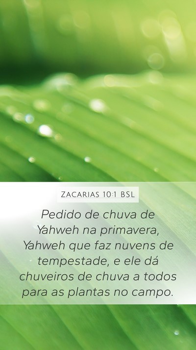 Zacarias 10:1 BSL Bible Verse Image