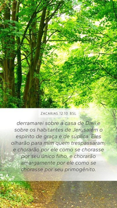 Zacarias 12:10 BSL Bible Verse Image