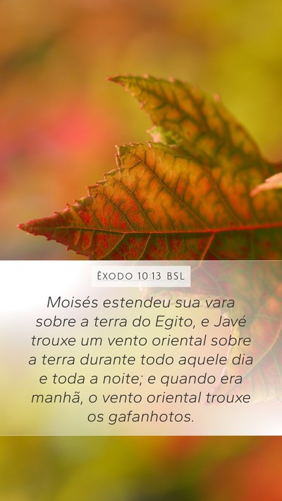 Êxodo 10:13 BSL Bible Verse Image