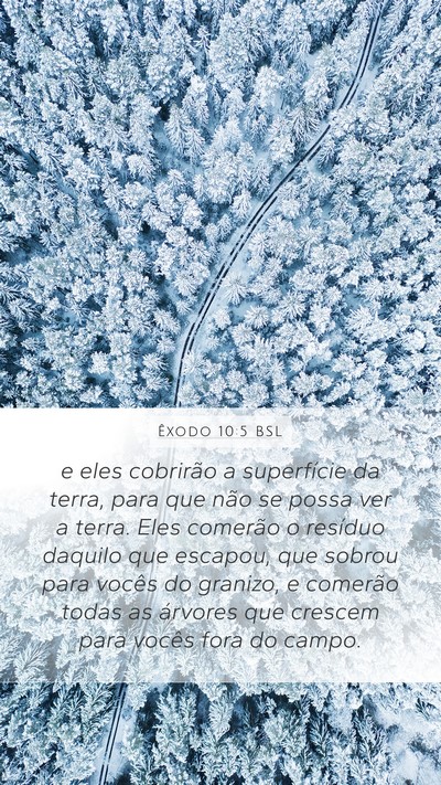 Êxodo 10:5 BSL Bible Verse Image