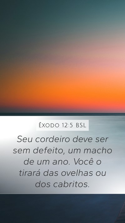 Êxodo 12:5 BSL Bible Verse Image