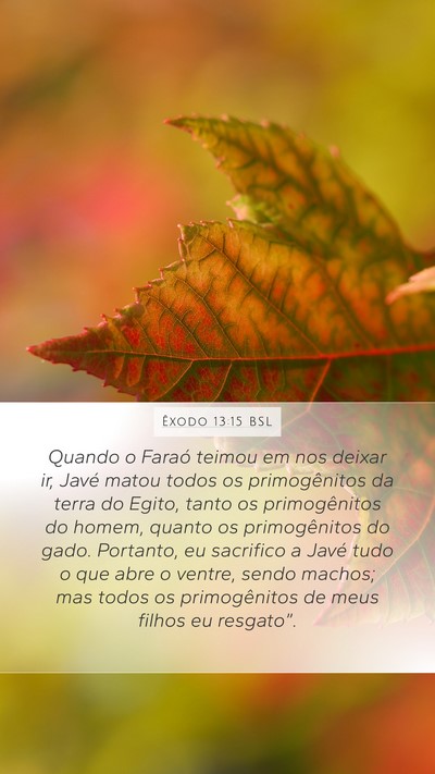 Êxodo 13:15 BSL Bible Verse Image