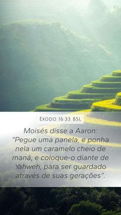Êxodo 16:33 BSL Bible Verse Image