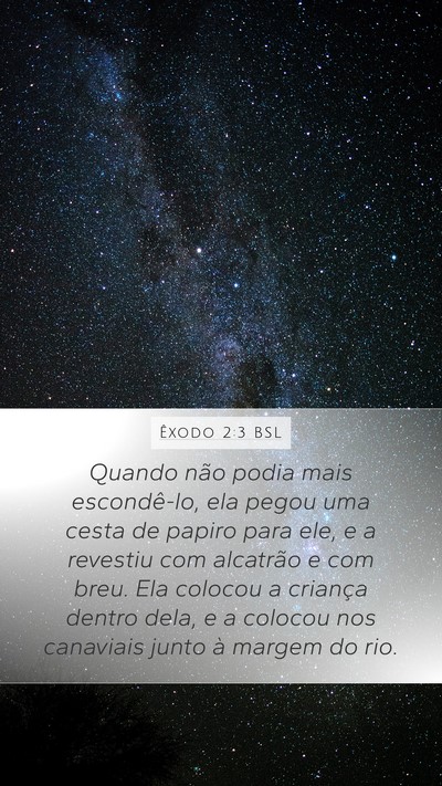 Êxodo 2:3 BSL Bible Verse Image