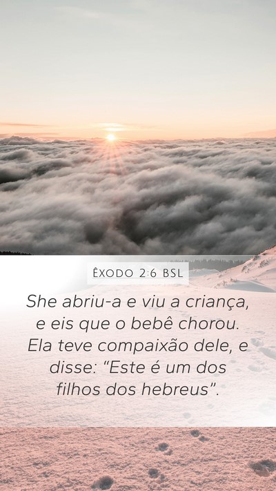 Êxodo 2:6 BSL Bible Verse Image