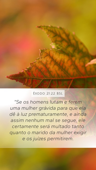 Êxodo 21:22 BSL Bible Verse Image