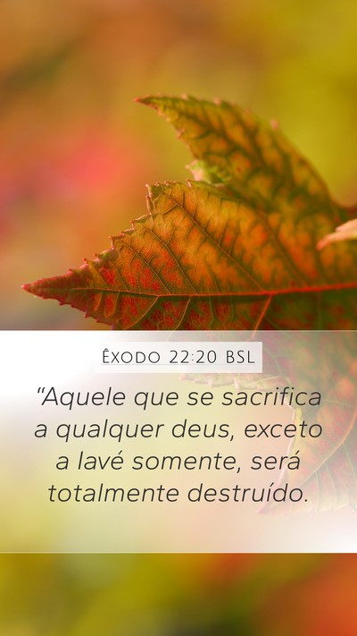 Êxodo 22:20 BSL Bible Verse Image