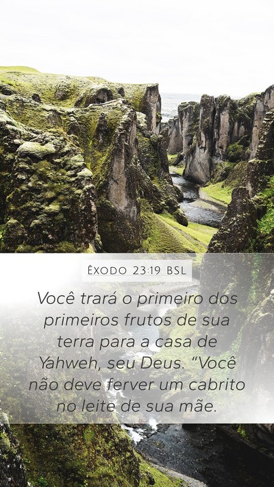 Êxodo 23:19 BSL Bible Verse Image