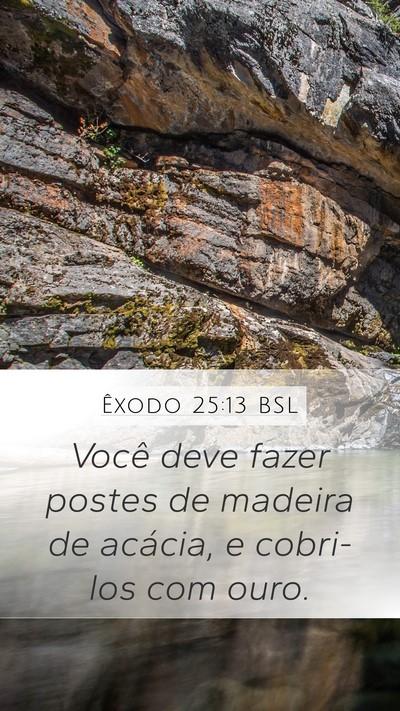 Êxodo 25:13 BSL Bible Verse Image