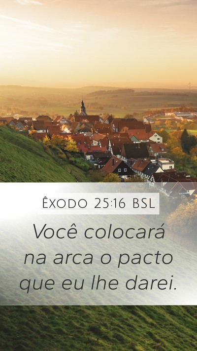 Êxodo 25:16 BSL Bible Verse Image