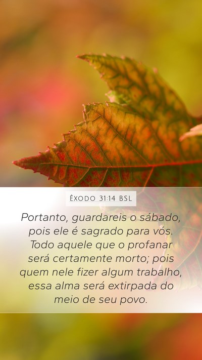 Êxodo 31:14 BSL Bible Verse Image
