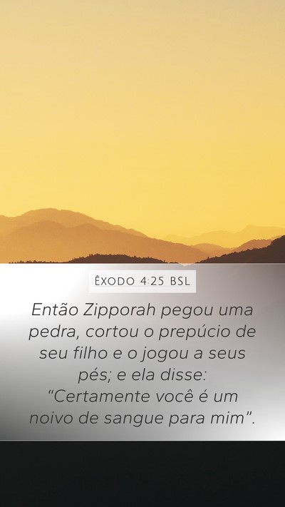 Êxodo 4:25 BSL Bible Verse Image