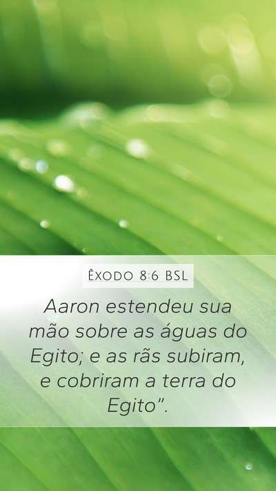 Êxodo 8:6 BSL Mobile Phone Wallpaper - Aaron estendeu sua mão sobre as águas do Egito; - Mobile Bible Verse Wallpaper