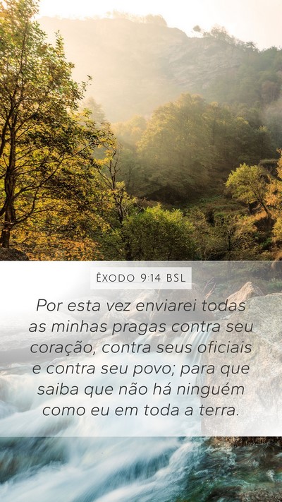 Êxodo 9:14 BSL Bible Verse Image