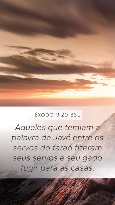 Êxodo 9:20 BSL Bible Verse Image